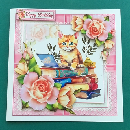 7x7 cats with books 2 choice of four mini kit by Jennifer Archer