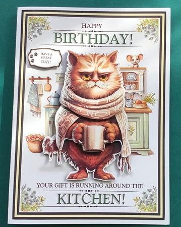 The Birthday Mouse by Jennifer Archer