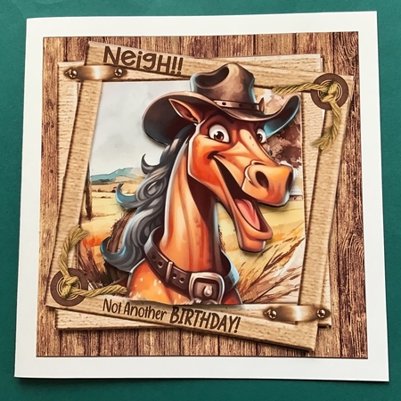 7x7 Birthday wishes from the horse male choice of four mini kit by Jennifer Archer