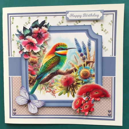 AUSSIE GARDEN BIRDS by Jennifer Archer