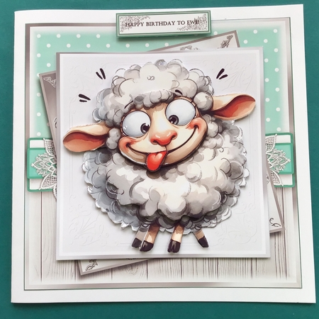 Happy Birthday To Ewe! by Jennifer Archer