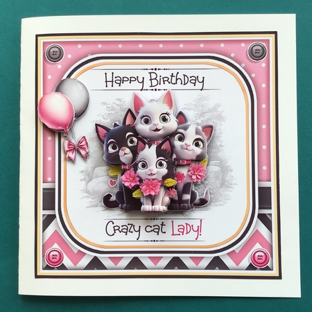 Crazy Cat Lady by Jennifer Archer