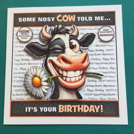 Nosy Cow! by Jennifer Archer