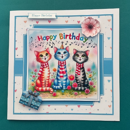 Birthday Cats by Jennifer Archer