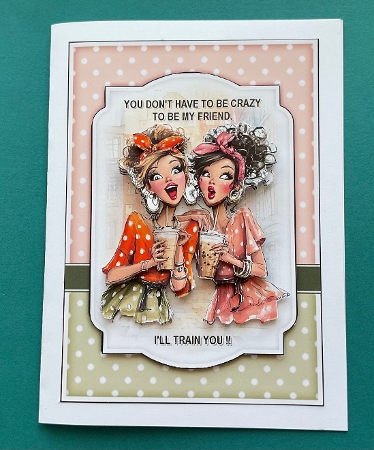 Have to be crazy by Jennifer Archer
