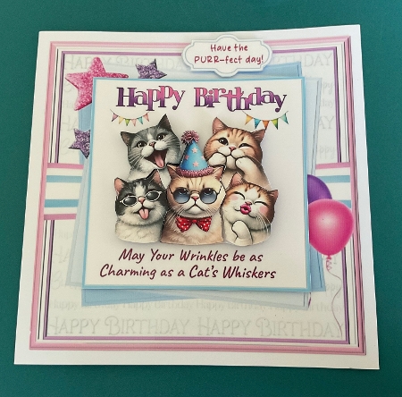 Cats Whiskers by Jennifer Archer