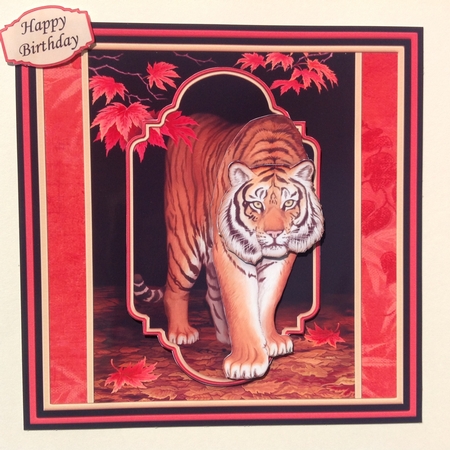 Tiger 8x8 Mini Kit & Decoupage by Jennifer Archer