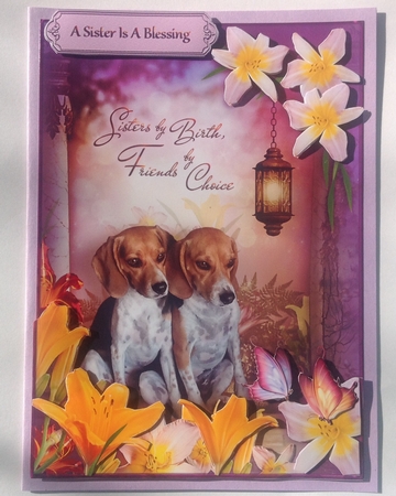 Sisters by Birth, Friends by Choice 2 by Jennifer Archer