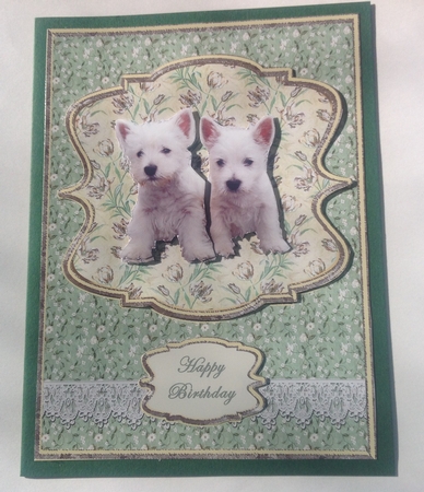 Westie Pups by Jennifer Archer