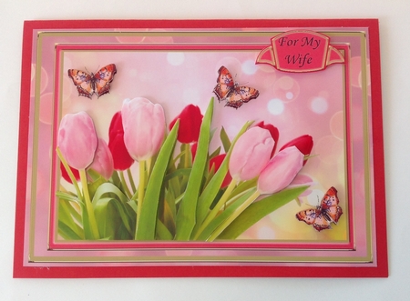 Pink & Red Tulips by Jennifer Archer