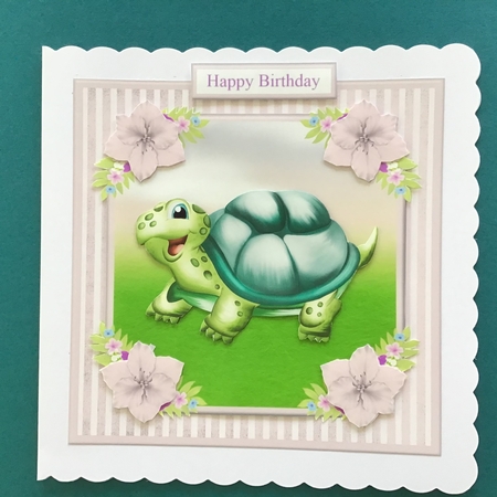 At Your Age You Want the Birthdays to Slow Down! - Tortoise by Jennifer Archer