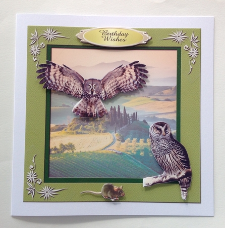 Colourful Birds Series - Quick Card 3 by Jennifer Archer