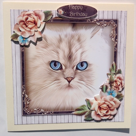 Blue Eyes by Jennifer Archer