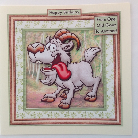 From One Old Goat to Another Birthday Ages Retirement Mini K by Jennifer Archer