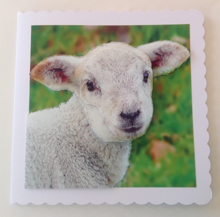 Spring Time - Eostra - Easter - Cute Lamb + Insert & Tag by Jennifer Archer