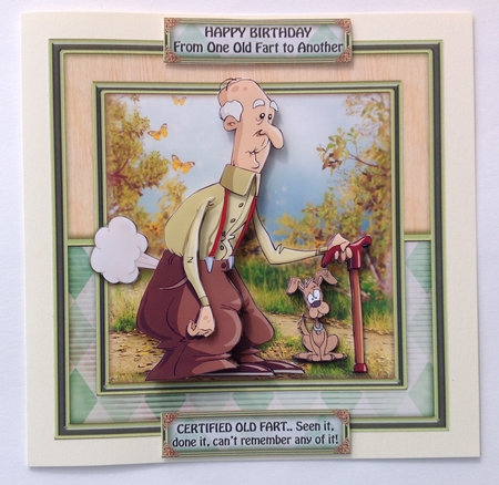Certified Old Fart-seen It Done It Can't Remember Any of It by Jennifer Archer