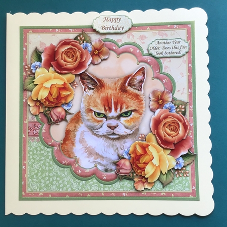 Another Year Older Does This Face Look Bothered 8x8 Mini Kit by Jennifer Archer