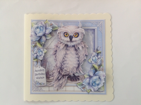 Moonlit Owl by Jennifer Archer