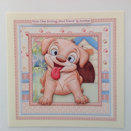 BARKING MAD 8x8 Humorous Birthday Decoupage Mini Kit by Jennifer Archer