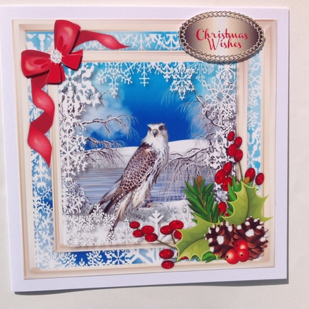 Beautiful Bird and Snowflakes . by Jennifer Archer