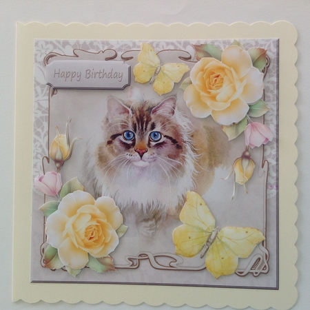 Cat with yellow roses and butterflies by Jennifer Archer