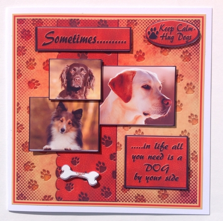 Sometimes.....Dogs by Jennifer Archer