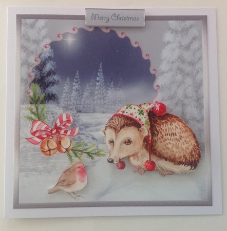 Merry Christmas, Mr Hedgehog by Jennifer Archer