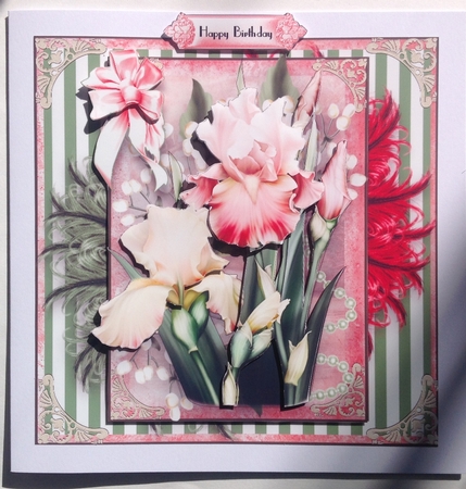 Beautiful Blush Iris and Feathers Card Front Kit by Jennifer Archer
