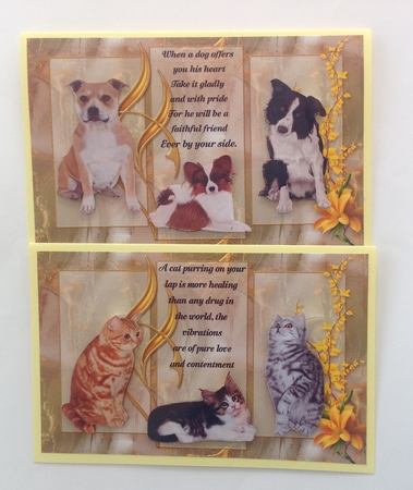 Love of Cats and Dogs by Jennifer Archer