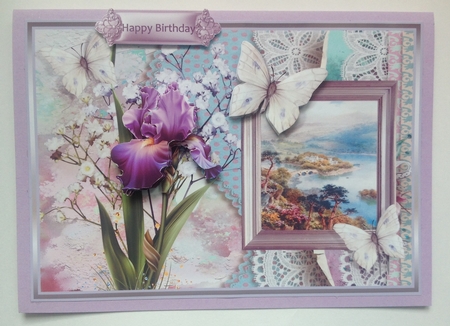 Iris and butterfly by Jennifer Archer