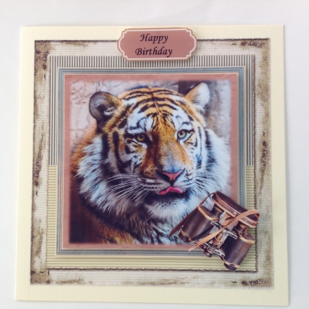 Big Wild Cats  Mini Kit by Jennifer Archer