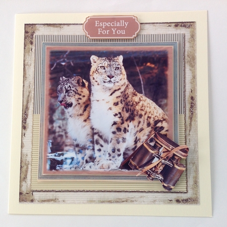 Big Wild Cats  Mini Kit by Jennifer Archer
