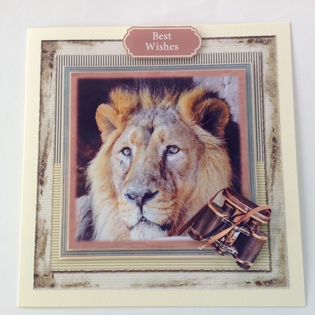 Big Wild Cats  Mini Kit by Jennifer Archer