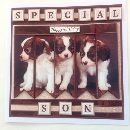 PUPPIES 7.5 Alphabet and Age Quick Card Kit Create Any Name by Jennifer Archer