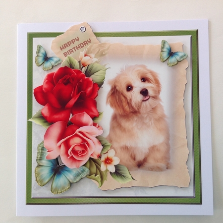 Dog and red roses by Jennifer Archer