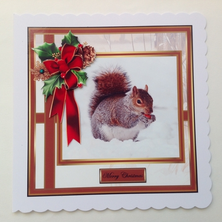 Squirrell enjoying a treat by Jennifer Archer