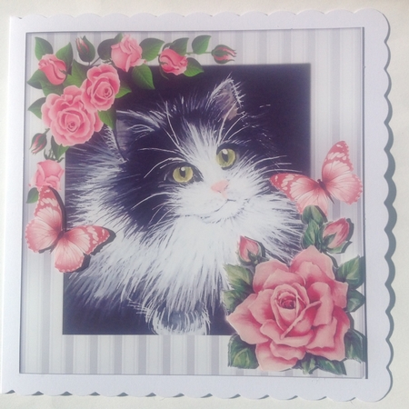 lovely painted black and white kitten with pink roses & butterflies 8x8 by Jennifer Archer