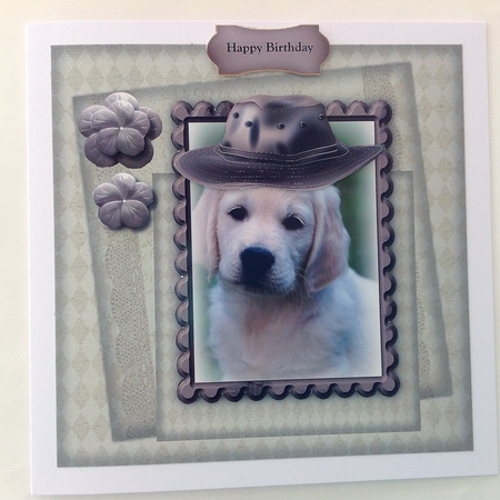 Bumperkit 4 Male Cards & Inserts by Jennifer Archer