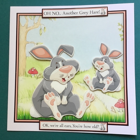 Oh No...Another Grey Hare! by Jennifer Archer