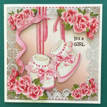 Its a Girl Cute Baby Shoes & Roses by Jennifer Archer
