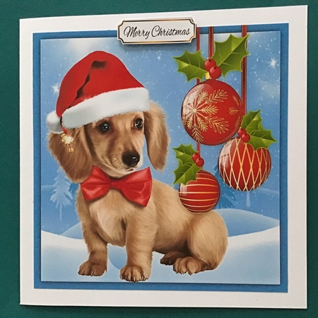 Gorgeous Dachshund Christmas Puppy 8x8 by Jennifer Archer