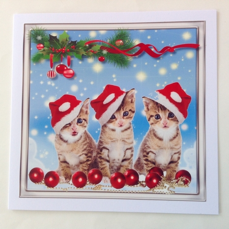  3 Little Furry Friends  ,2 by Jennifer Archer