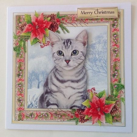 Gorgeous Grey Kitten Christmas 6x6 by Jennifer Archer