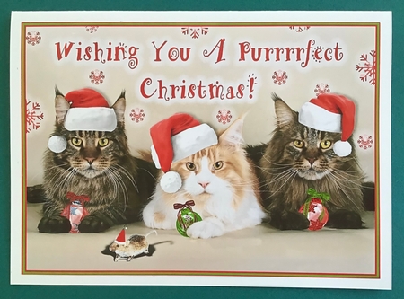 A Cats Purrrrfect Christmas by Jennifer Archer