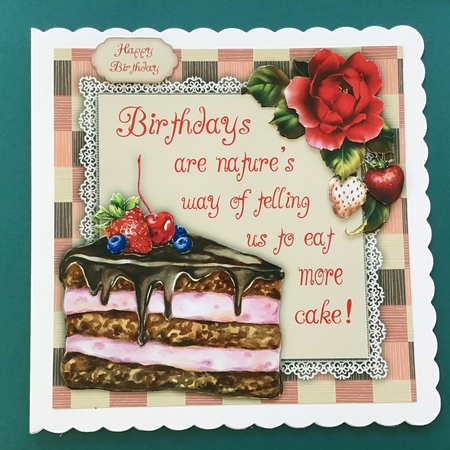 Birthday Cake Humor  8x8 Mini Kit by Jennifer Archer