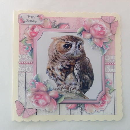 Beautiful Brown Owl  With Pink Roses 8x8 Mini Kit by Jennifer Archer