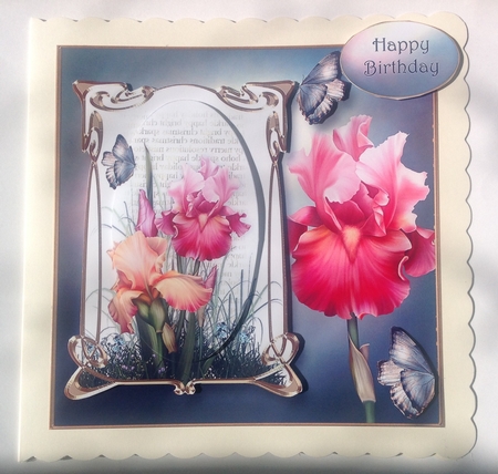 Art Nouveau Blush Iris by Jennifer Archer