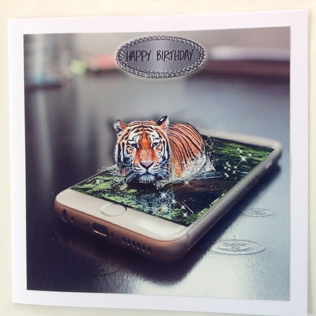 tiger in your phone  by Jennifer Archer