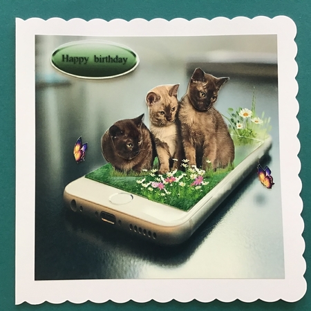 3 kittens by Jennifer Archer