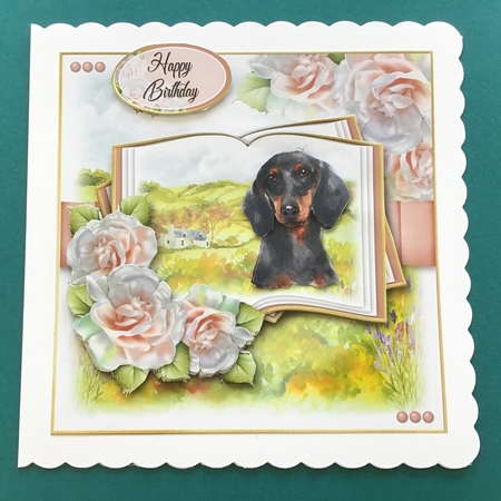 A Dog is a Friend for Life...Miniature Dachshund by Jennifer Archer